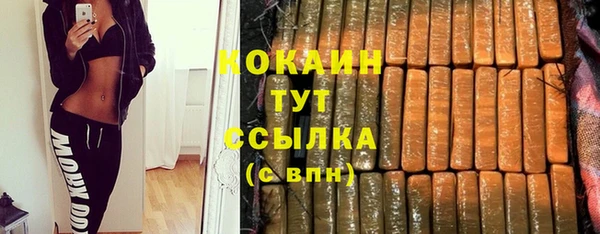 spice Михайлов