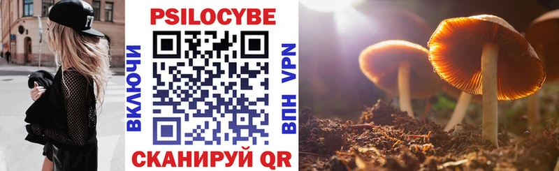 Псилоцибиновые грибы GOLDEN TEACHER  сайты даркнета клад  Вологда 