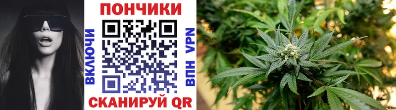 Марихуана Amnesia  сайты даркнета состав  Вологда 